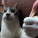 ThumbUp