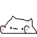 bongo