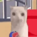 catmeme1737933588179