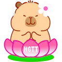 hgtt_capybara2 hgtt_capybara2