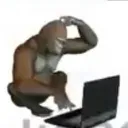 lacaimej