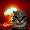 GatoExplosionFuego
