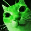 gleeb