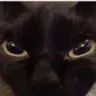 grrrr