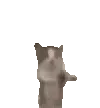 yaycat