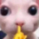 shhhh shhhh