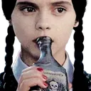 wtf_did_i_walk_into
