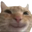 jk_swaghappy