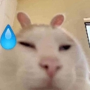:emoji_22: