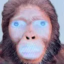 yourface