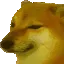 BONK