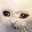 CRY