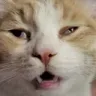 Whar3