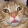 Whar