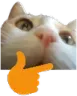 wydthink wydthink