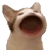 3_yap