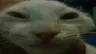 unxdd