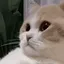 catSighExplode