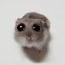 howlymowly