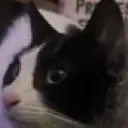 mookiesideeye