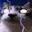 gatoelectrico
