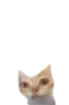 er er
