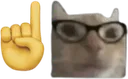 CatNerd