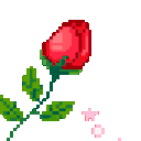 :rose: