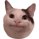 meme