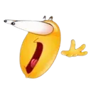 shock
