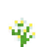 flower_azure_bluet