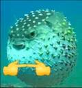 pufferfish