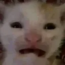 fear fear