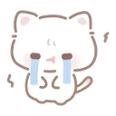 1kitty 1kitty