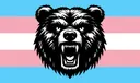 trans trans