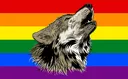 gay gay