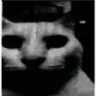 despairge