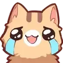 cat_crying