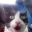 cargasp