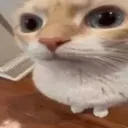 what