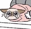 cat_cry