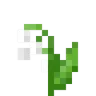 flower_lily_of_the_valley