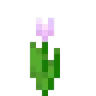 flower_tulip_pink