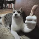 thumb thumb