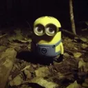 Freakion Freakion