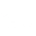 z20