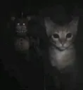 hesrightbehindmeisnthe