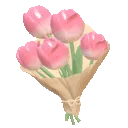 2_tuulips