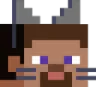 steve_cat