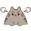 a_PusheenAngry_NF2U_DNS